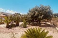 Villa española bellamente renovada en venta en Albatera in Real Estate Alicante