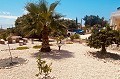 Villa española bellamente renovada en venta en Albatera in Real Estate Alicante