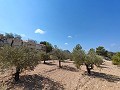 Superb 4-bedroom villa with pool and unbeatable views in Fortuna. in Real Estate Alicante