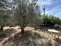 Spacious house with garage and plot: a house with great potential in Real Estate Alicante