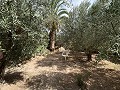 Spacious house with garage and plot: a house with great potential in Real Estate Alicante