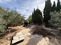 Spacious house with garage and plot: a house with great potential in Real Estate Alicante