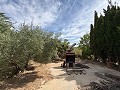 Spacious house with garage and plot: a house with great potential in Real Estate Alicante