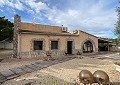 Schöne Finca in Sax 2 Schlafzimmer 1 Bad mit Potenzial für viel mehr in Real Estate Alicante