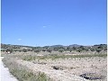 Se vende terreno en (Rincon Del Moro.) Sax  in Real Estate Alicante