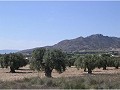 Se vende terreno en (Rincon Del Moro.) Sax  in Real Estate Alicante