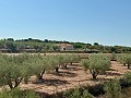 Villa de 3 chambres parfaite pour les amoureux des chevaux in Real Estate Alicante