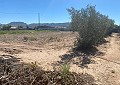 Prachtige villa met 3 slaapkamers in Salinas, dichtbij de stad. in Real Estate Alicante