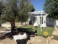 Nice little 1 Bed 1 Bath Finca, in Daya Vieja. in Real Estate Alicante