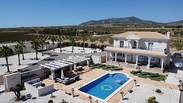 Villas neuves avec facteur 'waouh' à Pinoso