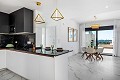 Stunning New Build Modern Bungalows  in Real Estate Alicante