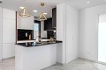 Stunning New Build Modern Bungalows  in Real Estate Alicante
