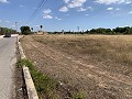 Villa mit 4 Schlafzimmern und 2 Bädern, großes Grundstück mit Platz für Pool, Stallungen oder Geschäft in Real Estate Alicante