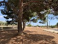 Villa mit 4 Schlafzimmern und 2 Bädern, großes Grundstück mit Platz für Pool, Stallungen oder Geschäft in Real Estate Alicante