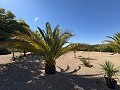 Off-Grid modern villa with pool in Biar in Real Estate Alicante