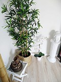 Appartement entièrement rénové et prêt à emménager à Alicante in Real Estate Alicante