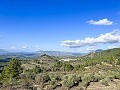 Ferme rustique avec piscine et terrain à Torremanzanas in Real Estate Alicante