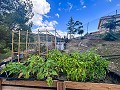 Ferme rustique avec piscine et terrain à Torremanzanas in Real Estate Alicante