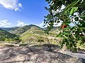 Ferme rustique avec piscine et terrain à Torremanzanas in Real Estate Alicante