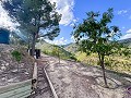 Ferme rustique avec piscine et terrain à Torremanzanas in Real Estate Alicante