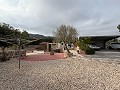 Schöne Villa mit 5 Schlafzimmern und 3 Bädern in Sax. in Real Estate Alicante