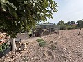 Schöne Villa mit 5 Schlafzimmern und 3 Bädern in Sax. in Real Estate Alicante