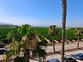 Semi Detached Villa Paradise Golf Urbanisation in Real Estate Alicante