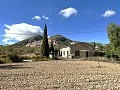 4 Bedroom house with Olive Grove on private road, close to Town. in Real Estate Alicante