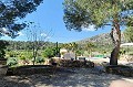 Beautiful 3 Bed 2 Bath Country house for sale in La Romana. in Real Estate Alicante