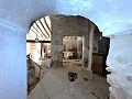 Projet de rénovation d'une bodega avec éléments d'origine in Real Estate Alicante