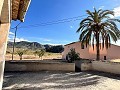 Projet de rénovation d'une bodega avec éléments d'origine in Real Estate Alicante
