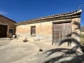 Projet de rénovation d'une bodega avec éléments d'origine in Real Estate Alicante