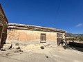 Projet de rénovation d'une bodega avec éléments d'origine in Real Estate Alicante