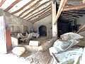 Projet de rénovation d'une bodega avec éléments d'origine in Real Estate Alicante