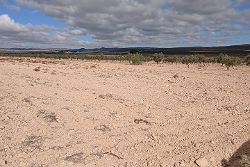 Gigantic building plot in Yecla.