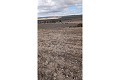 Gigantic building plot in Yecla. in Real Estate Alicante