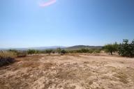 Landhuis met 100.000M2 olijven en amandelen in Real Estate Alicante