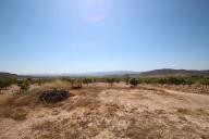 Landhuis met 100.000M2 olijven en amandelen in Real Estate Alicante