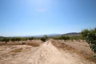 Landhuis met 100.000M2 olijven en amandelen in Real Estate Alicante
