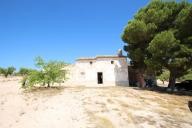 Landhuis met 100.000M2 olijven en amandelen in Real Estate Alicante