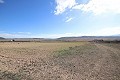 Large plot of land with a ruin in Yecla, Murcia in Real Estate Alicante
