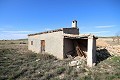 Large plot of land with a ruin in Yecla, Murcia in Real Estate Alicante