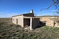 Large plot of land with a ruin in Yecla, Murcia in Real Estate Alicante