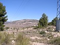 Building land in Pinoso in Real Estate Alicante