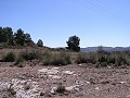 Building land in Pinoso in Real Estate Alicante