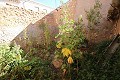 Village House in Raspay in need of reforming in Real Estate Alicante