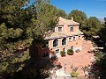 Villa Bodega - Gran casa de construcción de alta calidad in Real Estate Alicante