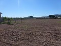 Aspe, terrain à vendre ! - Terrains à bâtir à vendre à Aspe, Alicante | Alicante, Aspé in Real Estate Alicante