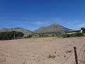 Aspe, terrain à vendre ! - Terrains à bâtir à vendre à Aspe, Alicante | Alicante, Aspé in Real Estate Alicante