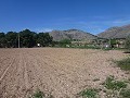 Aspe, terrain à vendre ! - Terrains à bâtir à vendre à Aspe, Alicante | Alicante, Aspé in Real Estate Alicante